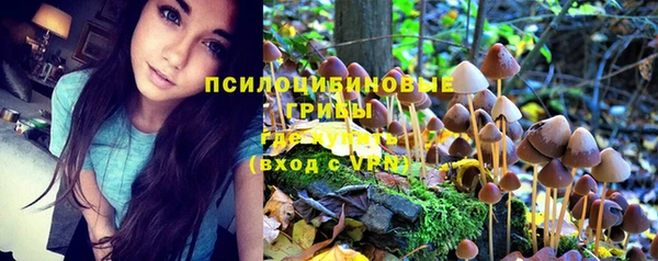 герыч Костерёво