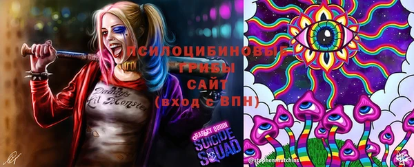 PSILOCYBIN Козловка