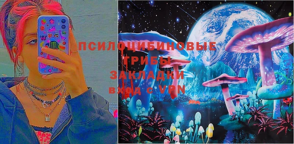 мдпв Коряжма