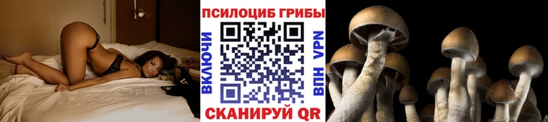 MEGA зеркало  Северобайкальск  Галлюциногенные грибы Magic Shrooms  наркота 