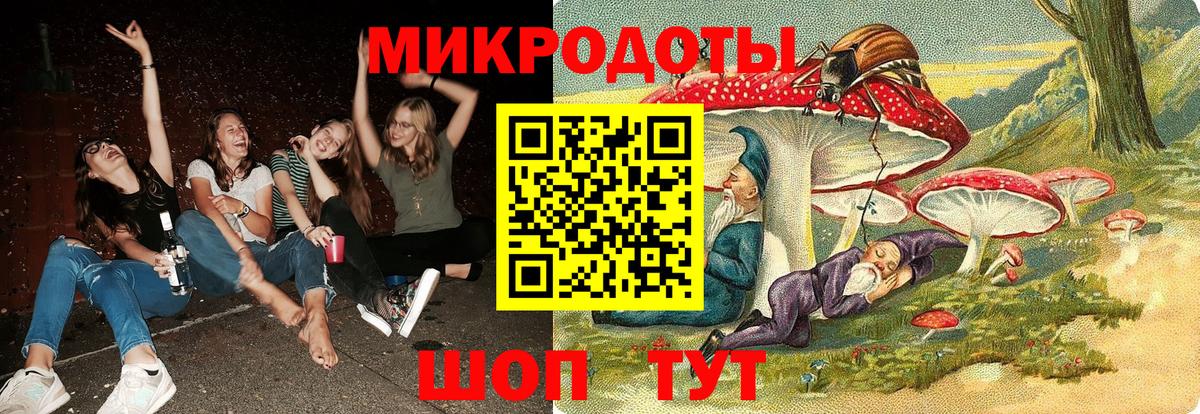 Галлюциногенные грибы Magic Shrooms  магазин продажи   Северобайкальск  Вход с VPN 